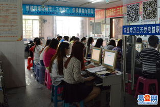 万江地区计算机技术培训指南 掌握数字时代的核心竞争力